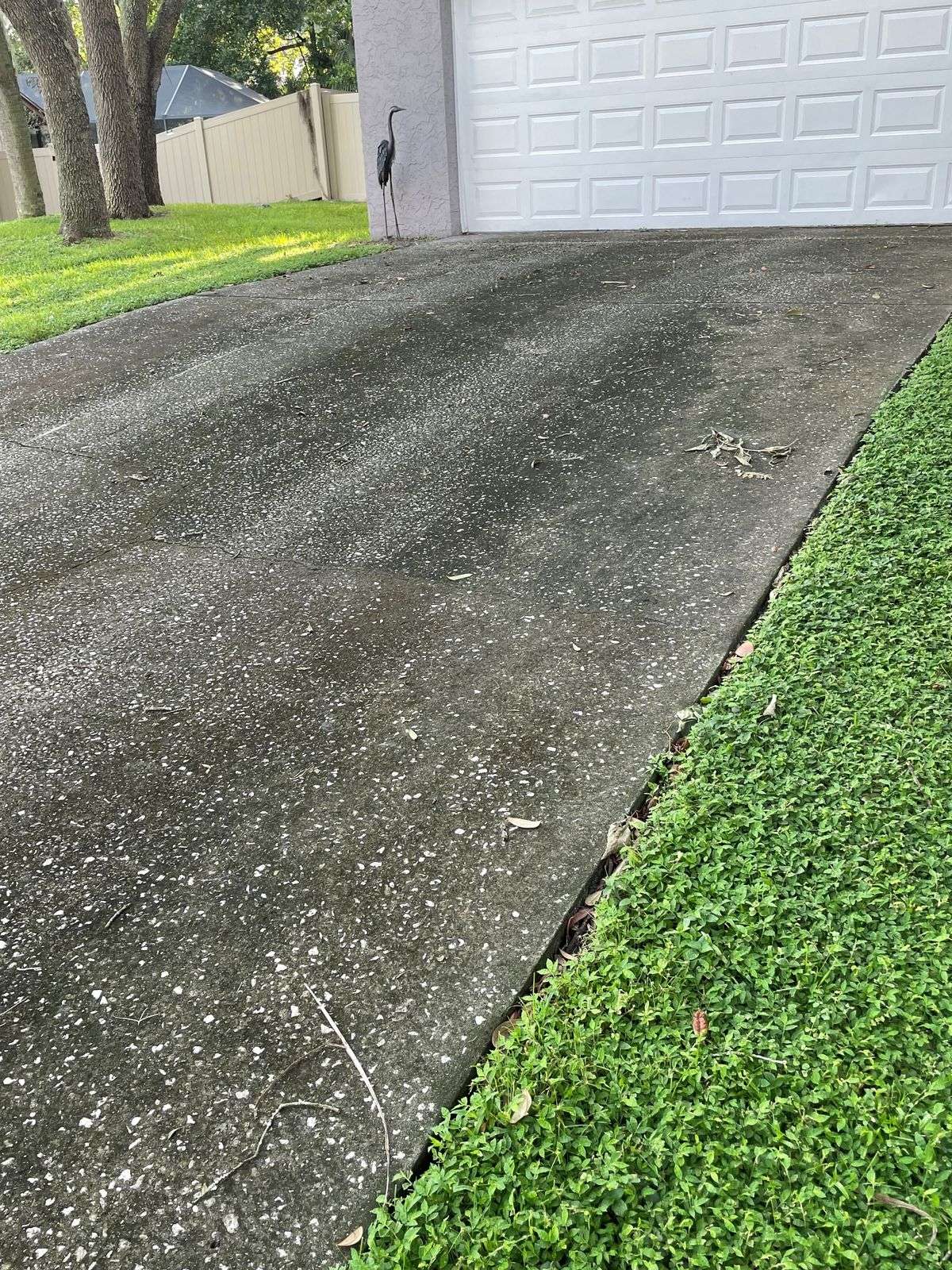dirty driveway